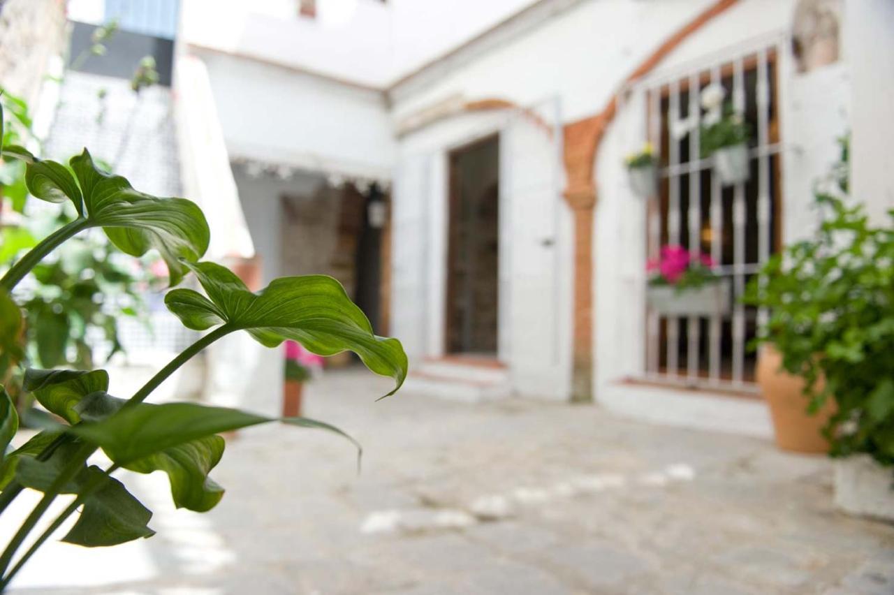 Old Town - Centro Ciudad Apartment Tarifa Ngoại thất bức ảnh