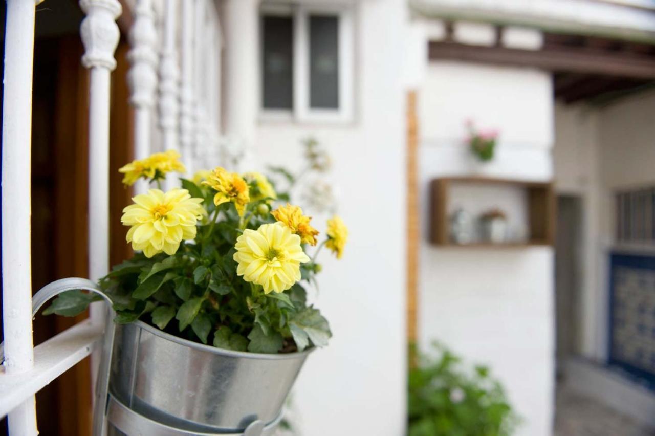 Old Town - Centro Ciudad Apartment Tarifa Ngoại thất bức ảnh